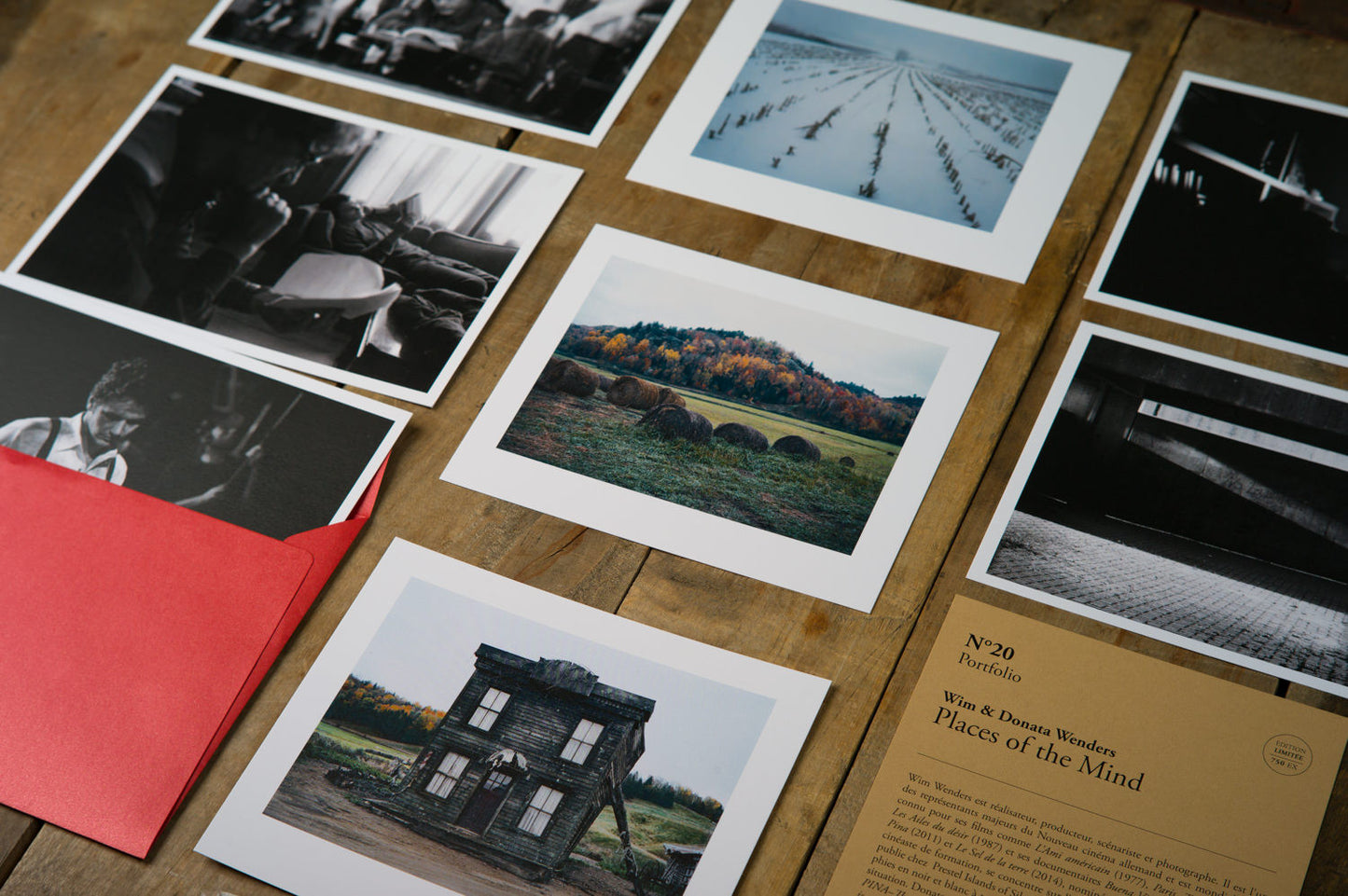 No. 20 - Wombat - The Photography and Art Box
