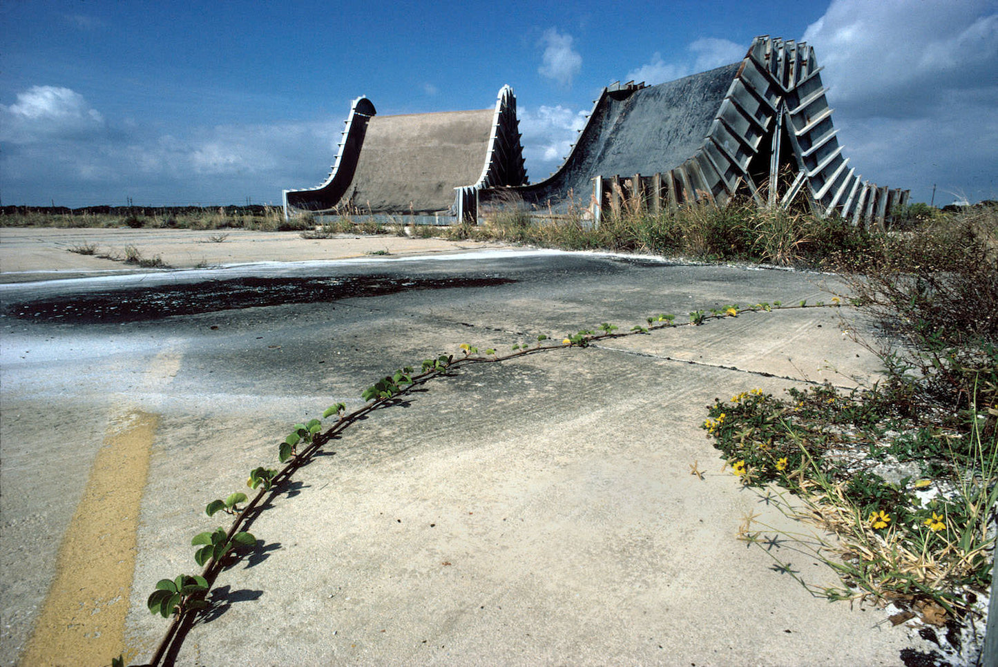 Floride, Cap Canaveral, 1978 - Wombat - The Photography and Art Box