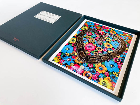 COFFRET WOMBAT 45