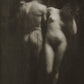 Portfolio No. 32 - Wombat - The Photography and Art Box