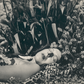 Portfolio No. 9 - Wombat - The Photography and Art Box