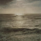 Portfolio No. 40 - Wombat - The Photography and Art Box