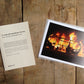No. 9 - Wombat - The Photography and Art Box