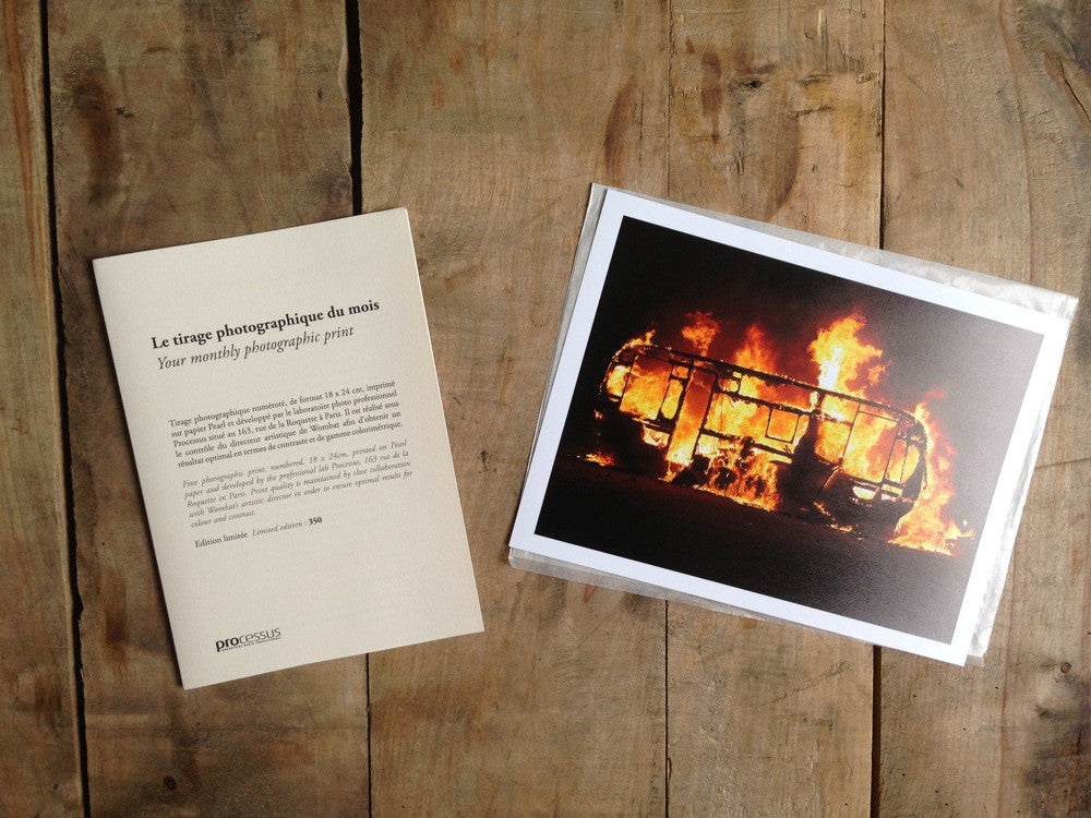 No. 9 - Wombat - The Photography and Art Box