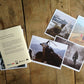 No. 9 - Wombat - The Photography and Art Box