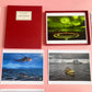47 - Portfolio Paolo Verzone