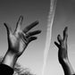 Artist Box 36 - JACK DAVISON