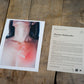 No. 25 - Wombat - The Photography and Art Box