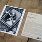 No. 25 - Wombat - The Photography and Art Box