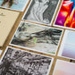 No. 25 - Wombat - The Photography and Art Box