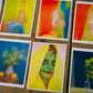 Portfolio No. 29 - Wombat - The Photography and Art Box