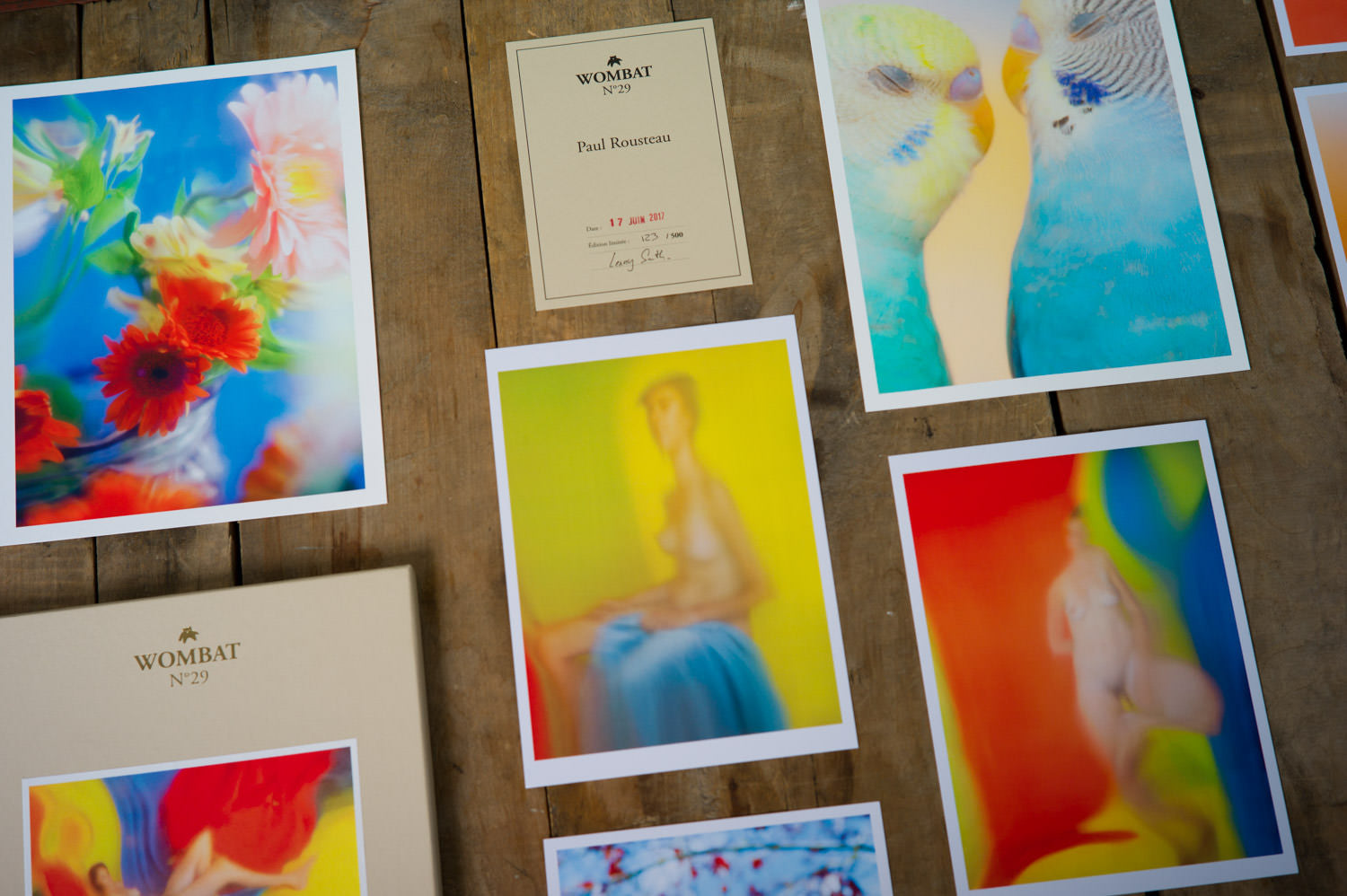 No. 29 - Wombat - The Photography and Art Box