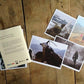 Portfolio No. 9 - Wombat - The Photography and Art Box
