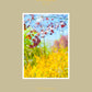 No. 29 - Wombat - The Photography and Art Box