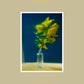 No. 29 - Wombat - The Photography and Art Box