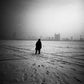 Portfolio No. 8 - Wombat - The Photography and Art Box