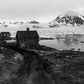 Portfolio No. 8 - Wombat - The Photography and Art Box