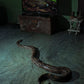 45 - Portfolio Cristina de Middel