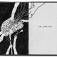 Portfolio No. 8 - Wombat - The Photography and Art Box