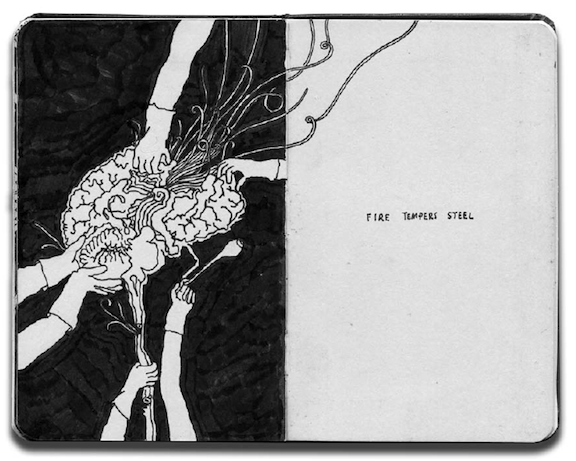 Portfolio No. 8 - Wombat - The Photography and Art Box